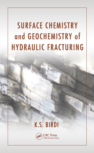 Surface Chemistry and Geochemistry of Hydraulic Fracturing, EPUB eBook