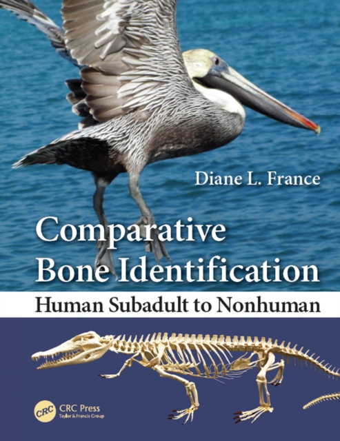 Comparative Bone Identification : Human Subadult to Nonhuman, EPUB eBook