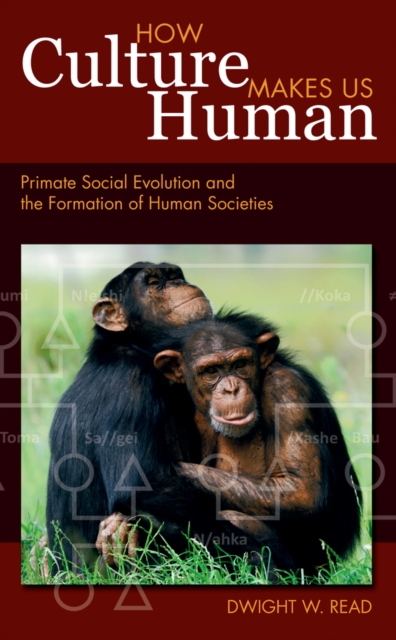 How Culture Makes Us Human : Primate Social Evolution and the Formation of Human Societies, PDF eBook