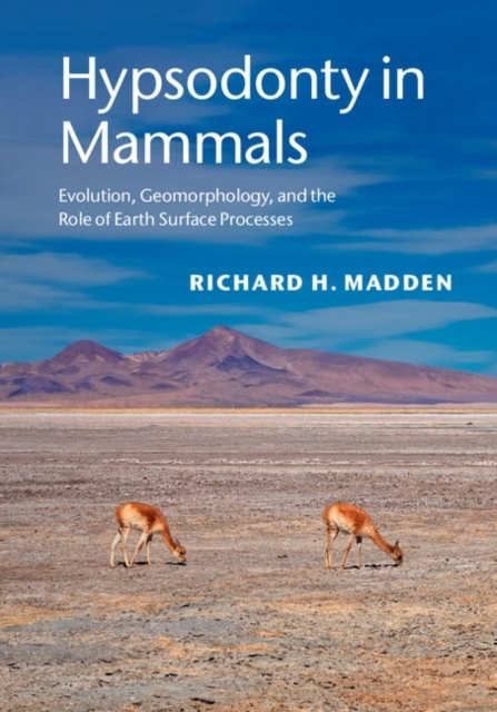 Hypsodonty in Mammals : Evolution, Geomorphology, and the Role of Earth Surface Processes, PDF eBook