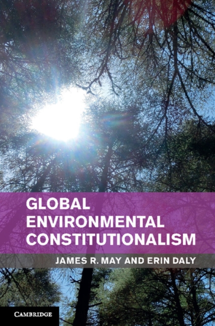 Global Environmental Constitutionalism, EPUB eBook