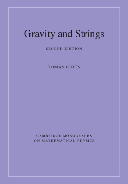 Gravity and Strings, EPUB eBook