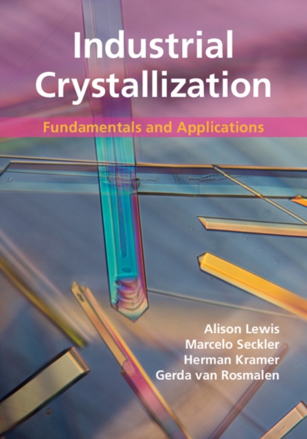 Industrial Crystallization : Fundamentals and Applications, PDF eBook