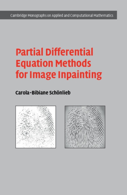 Partial Differential Equation Methods for Image Inpainting, EPUB eBook