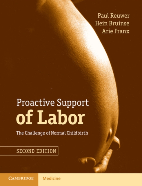 Proactive Support of Labor : The Challenge of Normal Childbirth, PDF eBook