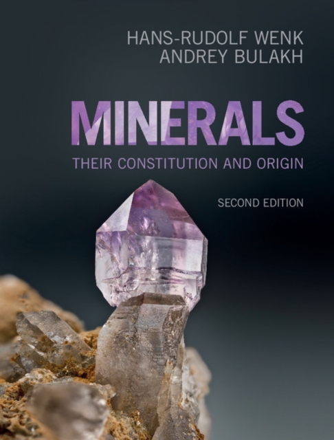 Minerals : Their Constitution and Origin, EPUB eBook