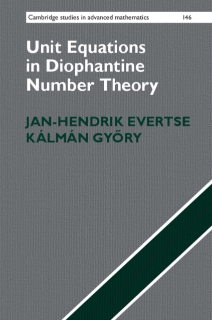 Unit Equations in Diophantine Number Theory, EPUB eBook