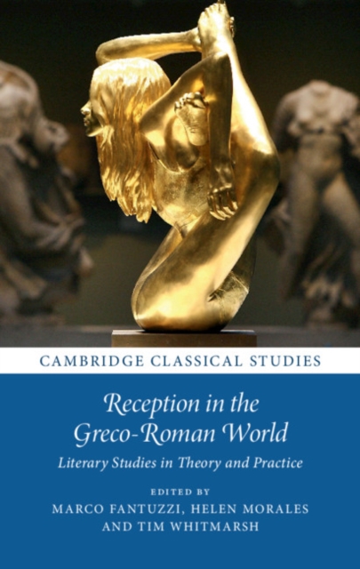 Reception in the Greco-Roman World : Literary Studies in Theory and Practice, Hardback Book