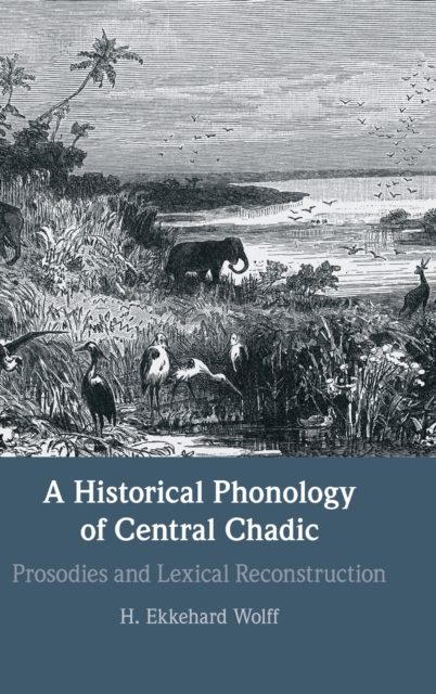 A Historical Phonology of Central Chadic : Prosodies and Lexical Reconstruction, Hardback Book