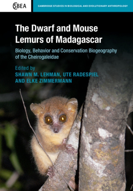Dwarf and Mouse Lemurs of Madagascar : Biology, Behavior and Conservation Biogeography of the Cheirogaleidae, EPUB eBook