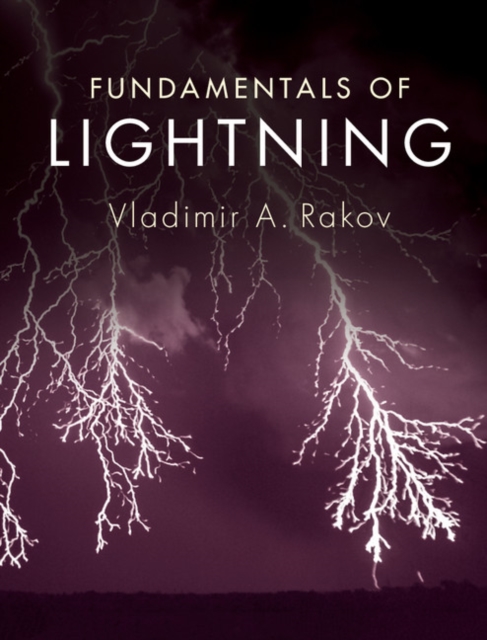 Fundamentals of Lightning, PDF eBook