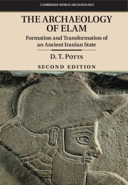 Archaeology of Elam : Formation and Transformation of an Ancient Iranian State, EPUB eBook