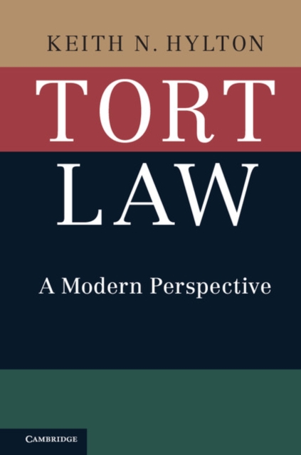 Tort Law : A Modern Perspective, PDF eBook