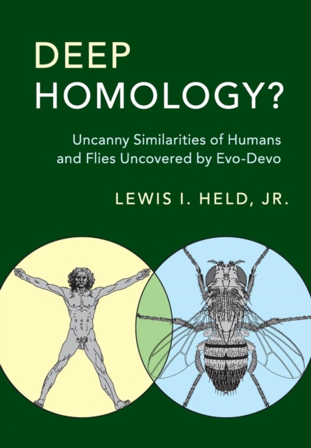 Deep Homology? : Uncanny Similarities of Humans and Flies Uncovered by Evo-Devo, Paperback / softback Book