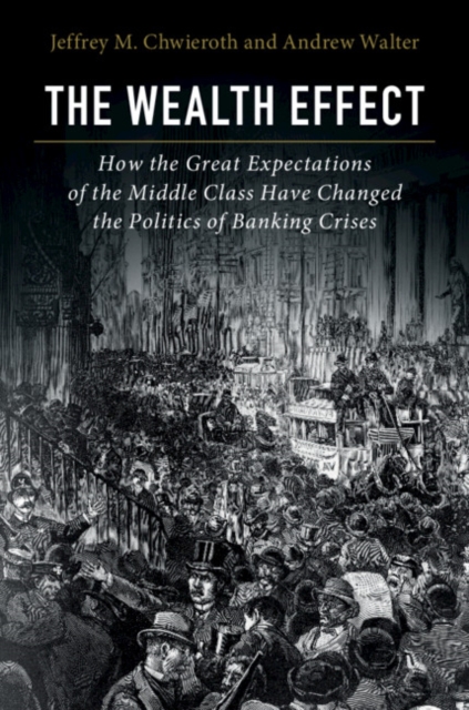 The Wealth Effect : How the Great Expectations of the Middle Class Have Changed the Politics of Banking Crises, Paperback / softback Book