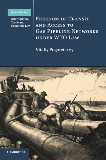 Freedom of Transit and Access to Gas Pipeline Networks under WTO Law, Paperback / softback Book