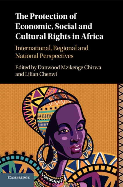 The Protection of Economic, Social and Cultural Rights in Africa : International, Regional and National Perspectives, Paperback / softback Book