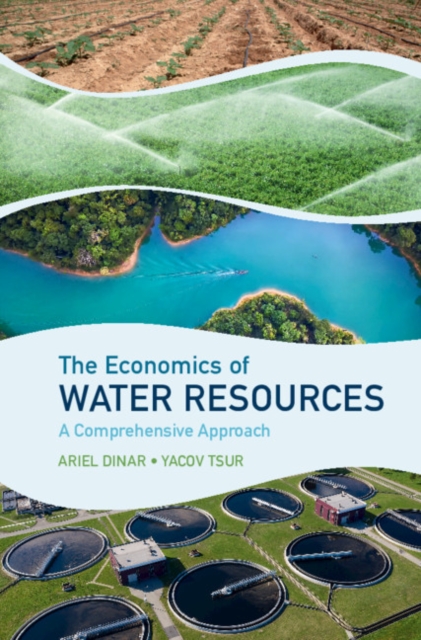 Economics of Water Resources : A Comprehensive Approach, PDF eBook