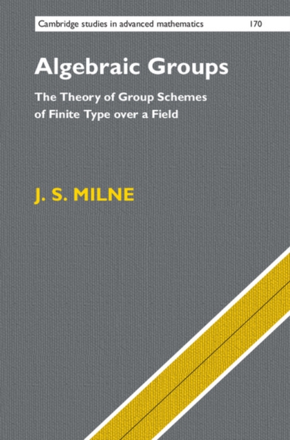 Algebraic Groups : The Theory of Group Schemes of Finite Type over a Field, EPUB eBook