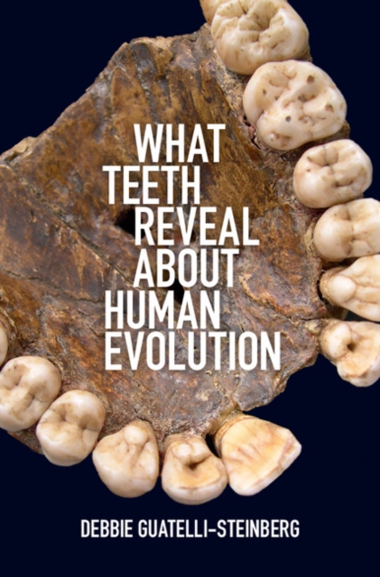 What Teeth Reveal about Human Evolution, PDF eBook