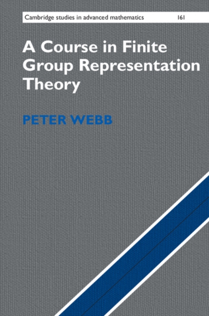 Course in Finite Group Representation Theory, EPUB eBook