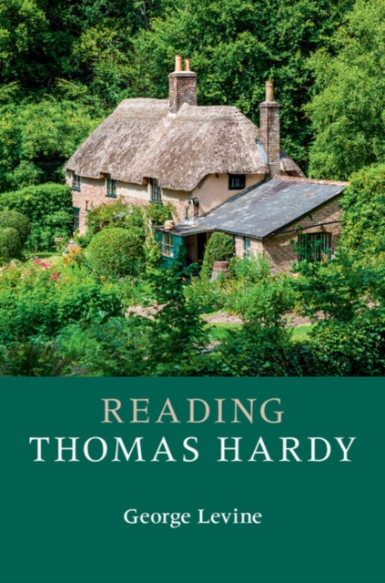 Reading Thomas Hardy, PDF eBook