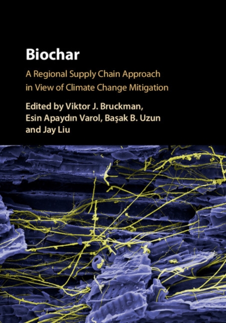 Biochar : A Regional Supply Chain Approach in View of Climate Change Mitigation, PDF eBook