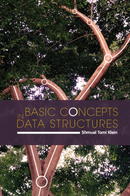 Basic Concepts in Data Structures, PDF eBook