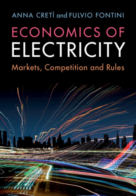 Economics of Electricity : Markets, Competition and Rules, EPUB eBook