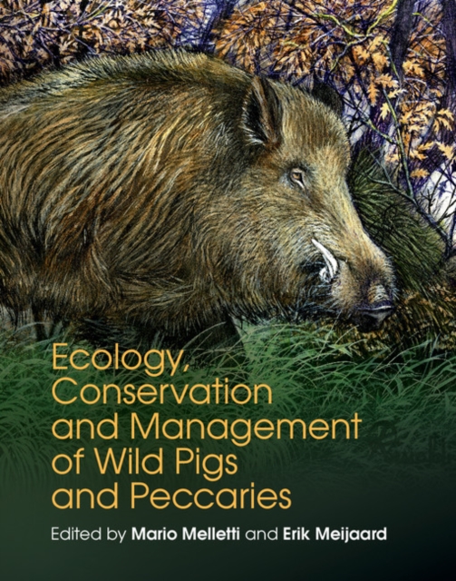 Ecology, Conservation and Management of Wild Pigs and Peccaries, PDF eBook