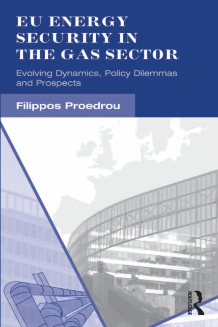 EU Energy Security in the Gas Sector : Evolving Dynamics, Policy Dilemmas and Prospects, PDF eBook