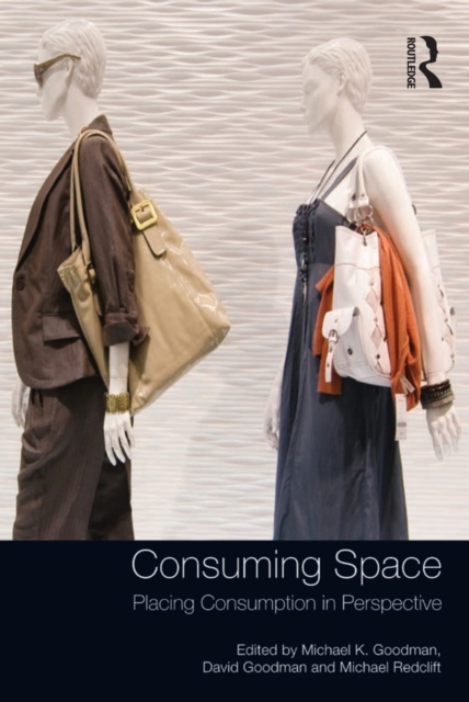 Consuming Space : Placing Consumption in Perspective, EPUB eBook