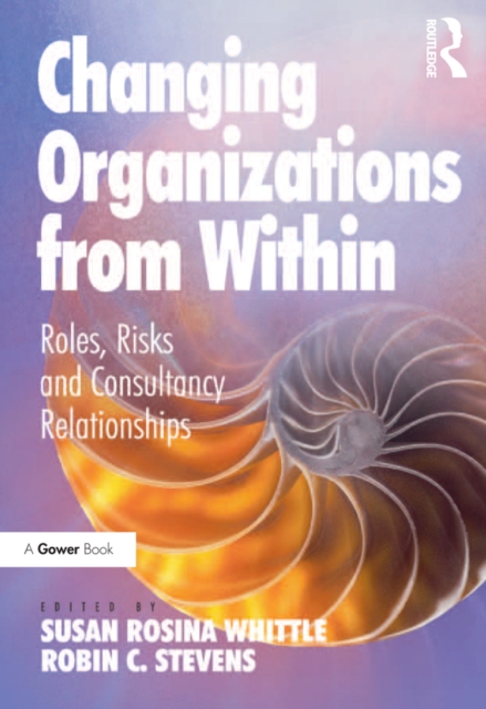 Changing Organizations from Within : Roles, Risks and Consultancy Relationships, PDF eBook