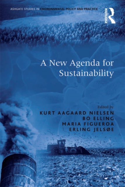 A New Agenda for Sustainability, EPUB eBook