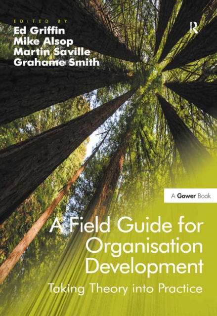 A Field Guide for Organisation Development : Taking Theory into Practice, EPUB eBook