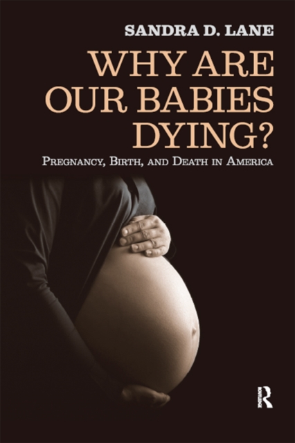 Why Are Our Babies Dying? : Pregnancy, Birth, and Death in America, EPUB eBook