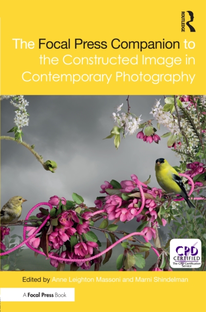 The Focal Press Companion to the Constructed Image in Contemporary Photography, EPUB eBook
