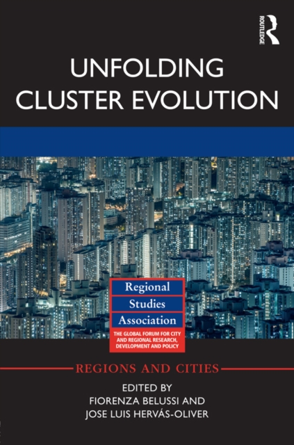 Unfolding Cluster Evolution, EPUB eBook