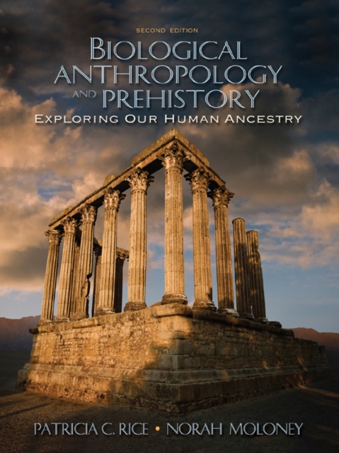 Biological Anthropology and Prehistory : Exploring Our Human Ancestry, PDF eBook