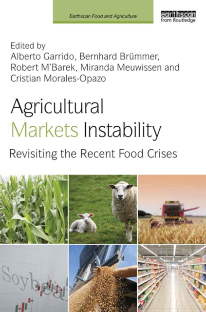 Agricultural Markets Instability : Revisiting the Recent Food Crises, EPUB eBook