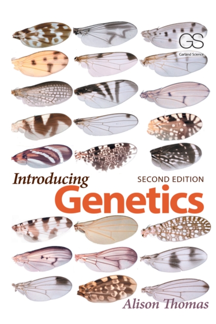 Introducing Genetics : From Mendel to Molecules, PDF eBook
