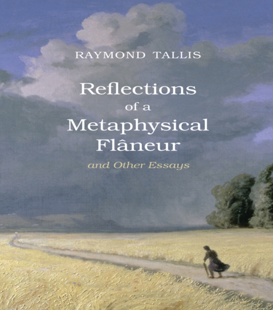 Reflections of a Metaphysical Flaneur : and Other Essays, EPUB eBook