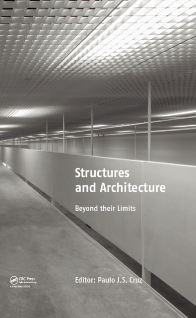 Structures and Architecture : Beyond their Limits, PDF eBook