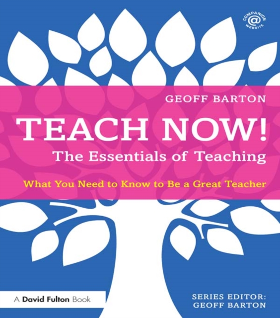 Teach Now! The Essentials of Teaching : What You Need to Know to Be a Great Teacher, PDF eBook