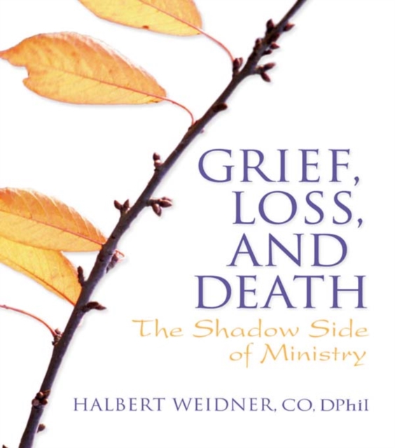 Grief, Loss, and Death : The Shadow Side of Ministry, PDF eBook