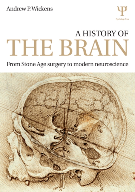 A History of the Brain : From Stone Age surgery to modern neuroscience, PDF eBook