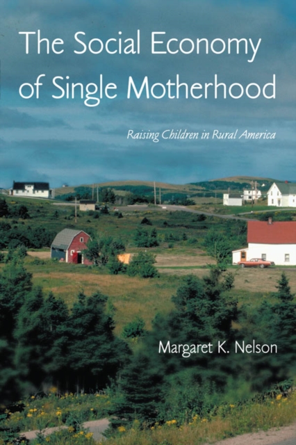 The Social Economy of Single Motherhood : Raising Children in Rural America, EPUB eBook