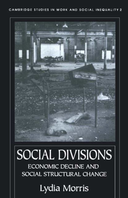 Social Divisions, EPUB eBook