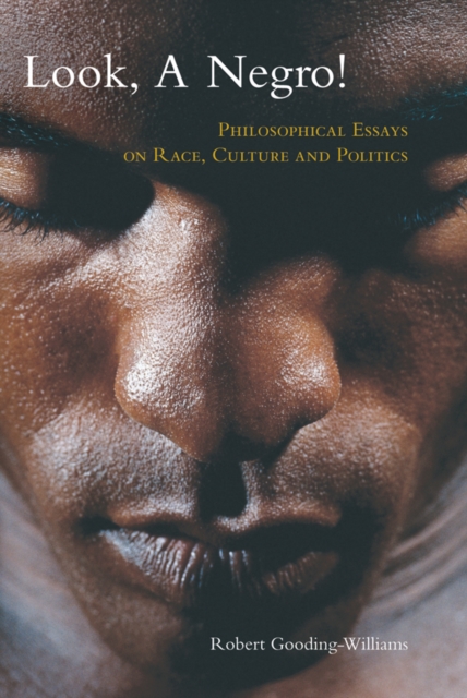 Look, a Negro! : Philosophical Essays on Race, Culture, and Politics, EPUB eBook