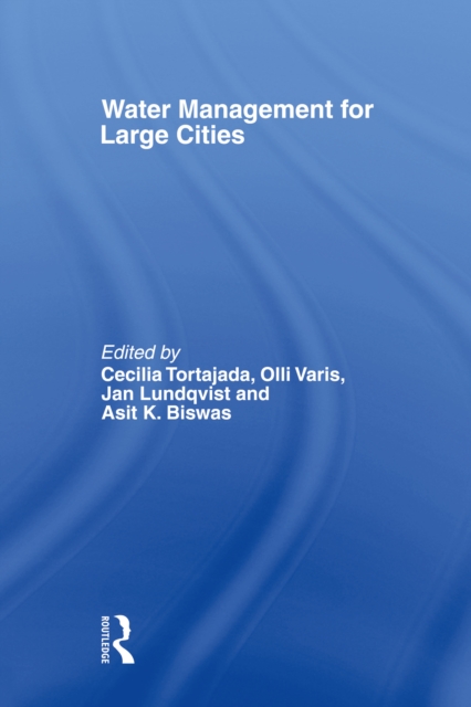 Water Management in Megacities, PDF eBook
